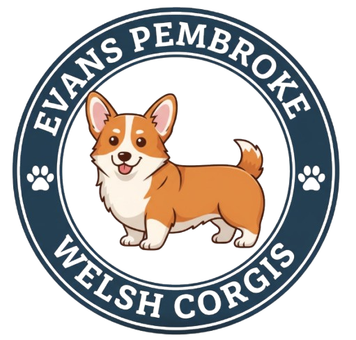 Evans Pembroke Welsh Corgis